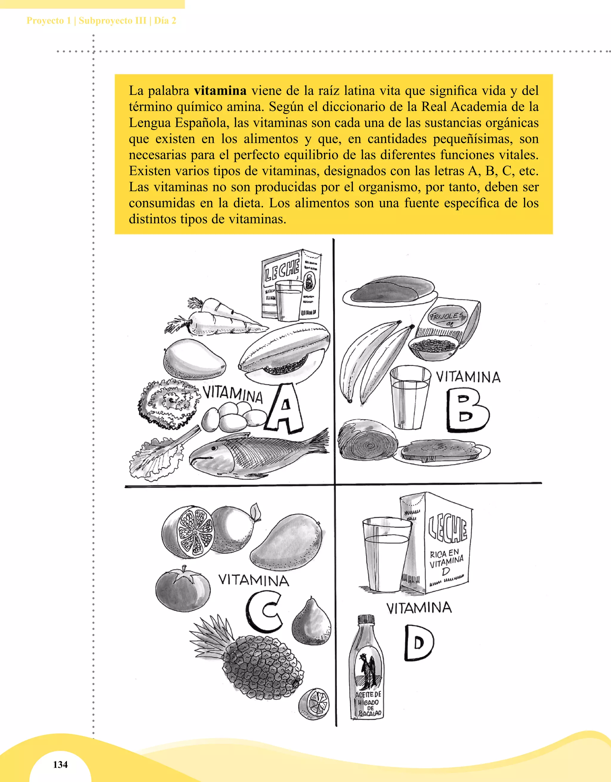 134
Proyecto 1 | Subproyecto III | Día 2
La palabra vitamina viene de la raíz latina vita que significa vida y del
término químico amina. Según el diccionario de la Real Academia de la
Lengua Española, las vitaminas son cada una de las sustancias orgánicas
que existen en los alimentos y que, en cantidades pequeñísimas, son
necesarias para el perfecto equilibrio de las diferentes funciones vitales.
Existen varios tipos de vitaminas, designados con las letras A, B, C, etc.
Las vitaminas no son producidas por el organismo, por tanto, deben ser
consumidas en la dieta. Los alimentos son una fuente específica de los
distintos tipos de vitaminas.
 