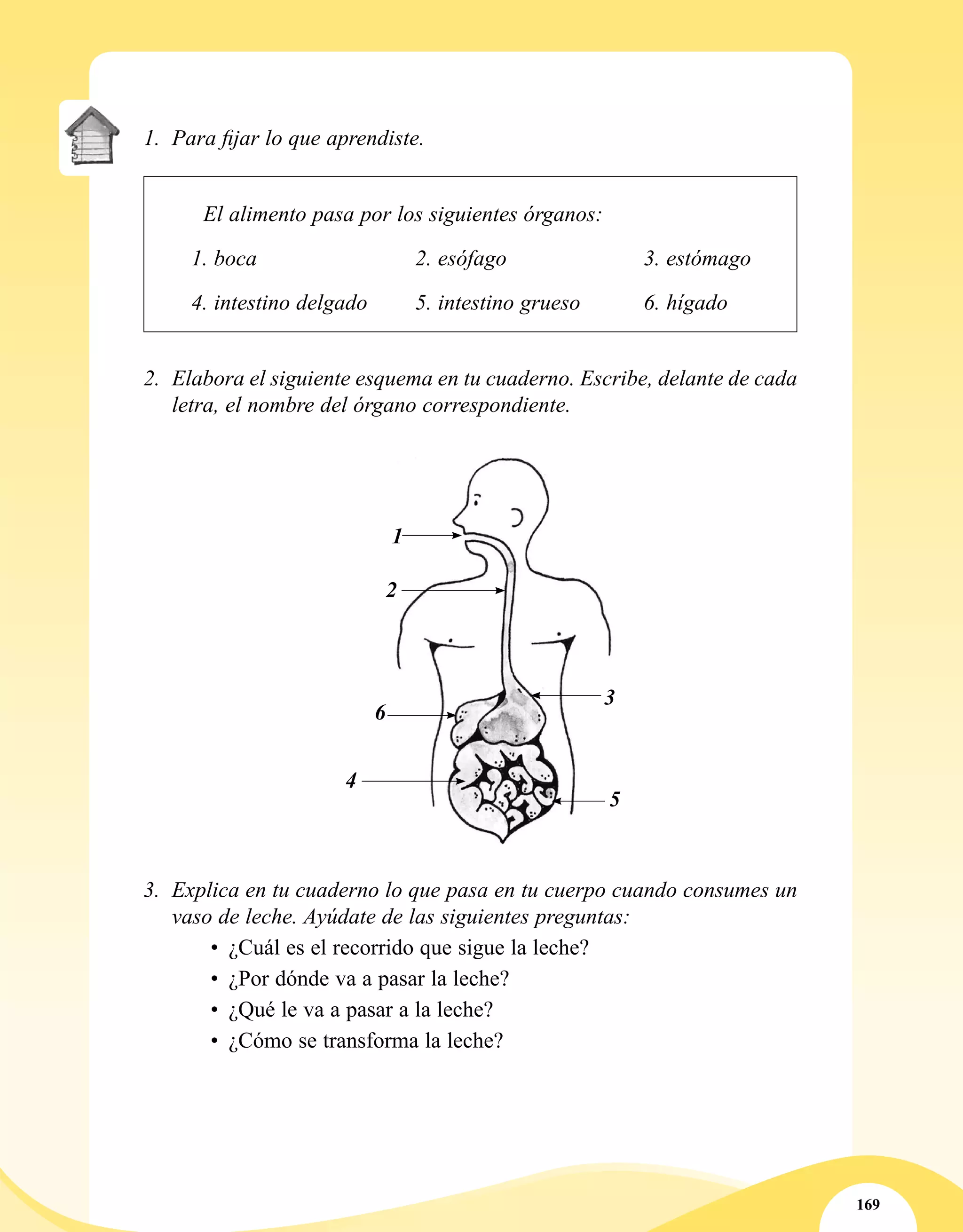 169
1.	 Para fijar lo que aprendiste.
	 El alimento pasa por los siguientes órganos:
	 1. boca	 2. esófago	 3. estómago
	 4. intestino delgado	 5. intestino grueso	 6. hígado
2.	 Elabora el siguiente esquema en tu cuaderno. Escribe, delante de cada
letra, el nombre del órgano correspondiente.
3.	 Explica en tu cuaderno lo que pasa en tu cuerpo cuando consumes un
vaso de leche. Ayúdate de las siguientes preguntas:
•	 ¿Cuál es el recorrido que sigue la leche?	
•	 ¿Por dónde va a pasar la leche?
•	 ¿Qué le va a pasar a la leche?
•	 ¿Cómo se transforma la leche?
2
3
4
5
6
1
 
