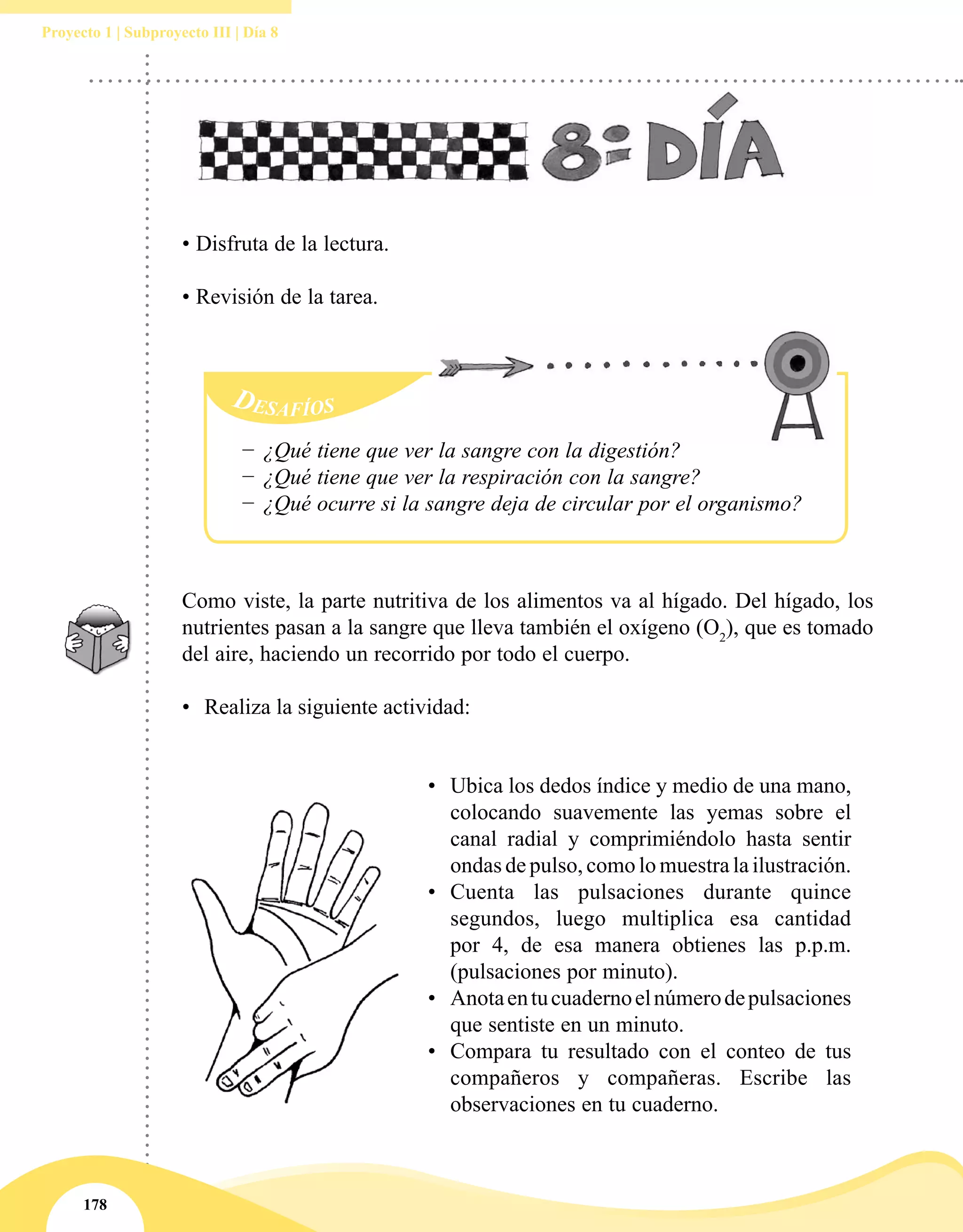 178
Proyecto 1 | Subproyecto III | Día 8
• Disfruta de la lectura.
• Revisión de la tarea.
Como viste, la parte nutritiva de los alimentos va al hígado. Del hígado, los
nutrientes pasan a la sangre que lleva también el oxígeno (O2
), que es tomado
del aire, haciendo un recorrido por todo el cuerpo.
•	 Realiza la siguiente actividad:
Desafíos
−− ¿Qué tiene que ver la sangre con la digestión?
−− ¿Qué tiene que ver la respiración con la sangre?
−− ¿Qué ocurre si la sangre deja de circular por el organismo?
•	 Ubica los dedos índice y medio de una mano,
colocando suavemente las yemas sobre el
canal radial y comprimiéndolo hasta sentir
ondas de pulso, como lo muestra la ilustración.
•	 Cuenta las pulsaciones durante quince
segundos, luego multiplica esa cantidad
por 4, de esa manera obtienes las p.p.m.
(pulsaciones por minuto).
•	 Anotaentucuadernoelnúmerodepulsaciones
que sentiste en un minuto.
•	 Compara tu resultado con el conteo de tus
compañeros y compañeras. Escribe las
observaciones en tu cuaderno.
 