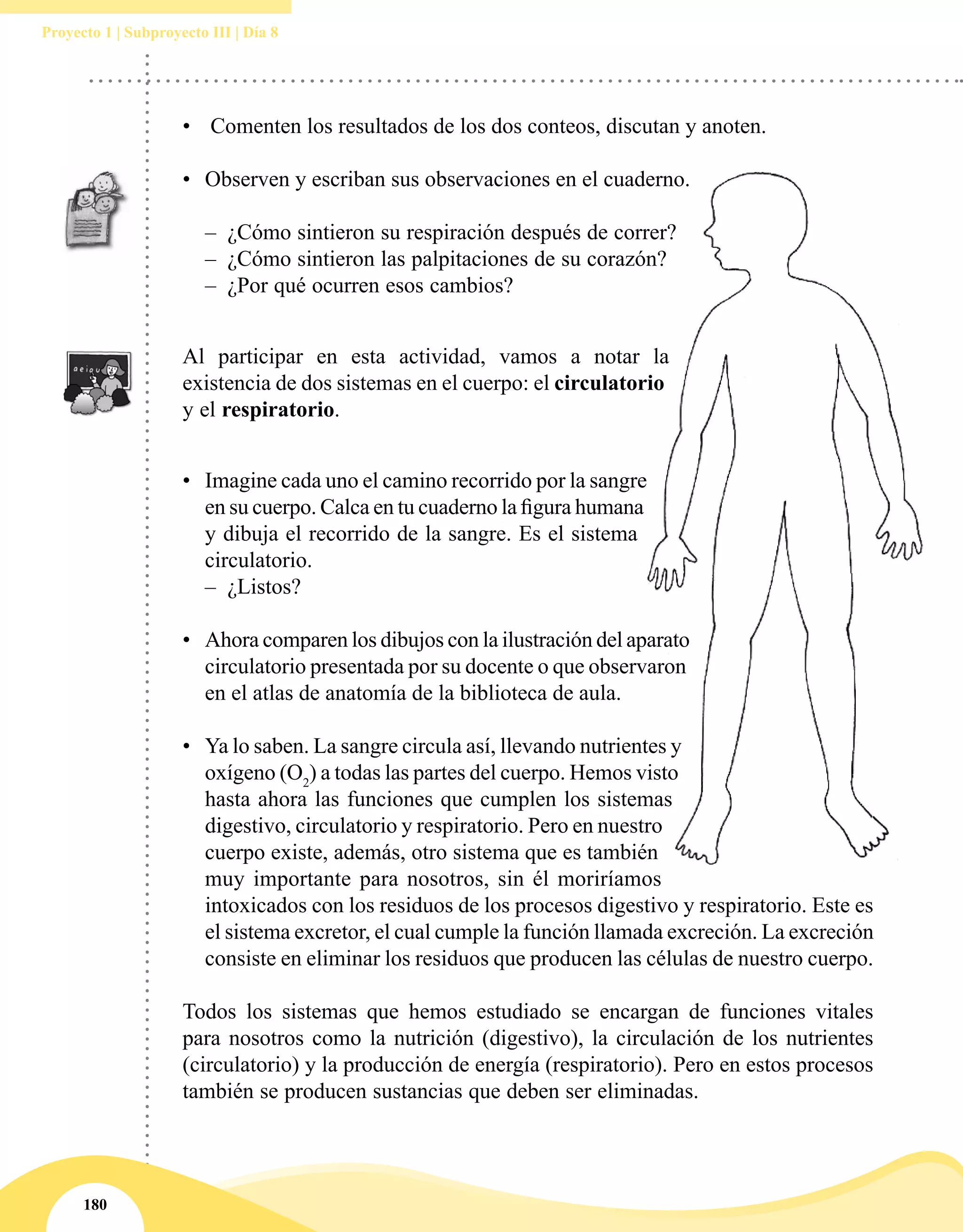 180
Proyecto 1 | Subproyecto III | Día 8
•	 Comenten los resultados de los dos conteos, discutan y anoten.
•	 	Observen y escriban sus observaciones en el cuaderno.
–– ¿Cómo sintieron su respiración después de correr?
–– ¿Cómo sintieron las palpitaciones de su corazón?
–– 	¿Por qué ocurren esos cambios?
Al participar en esta actividad, vamos a notar la
existencia de dos sistemas en el cuerpo: el circulatorio
y el respiratorio.
•	 Imagine cada uno el camino recorrido por la sangre
en su cuerpo. Calca en tu cuaderno la figura humana
y dibuja el recorrido de la sangre. Es el sistema
circulatorio.
–– ¿Listos?
•	 Ahora comparen los dibujos con la ilustración del aparato
circulatorio presentada por su docente o que observaron
en el atlas de anatomía de la biblioteca de aula.
•	 Ya lo saben. La sangre circula así, llevando nutrientes y
oxígeno (O2
) a todas las partes del cuerpo. Hemos visto
hasta ahora las funciones que cumplen los sistemas
digestivo, circulatorio y respiratorio. Pero en nuestro
cuerpo existe, además, otro sistema que es también
muy importante para nosotros, sin él moriríamos
intoxicados con los residuos de los procesos digestivo y respiratorio. Este es
el sistema excretor, el cual cumple la función llamada excreción. La excreción
consiste en eliminar los residuos que producen las células de nuestro cuerpo.
Todos los sistemas que hemos estudiado se encargan de funciones vitales
para nosotros como la nutrición (digestivo), la circulación de los nutrientes
(circulatorio) y la producción de energía (respiratorio). Pero en estos procesos
también se producen sustancias que deben ser eliminadas.
 