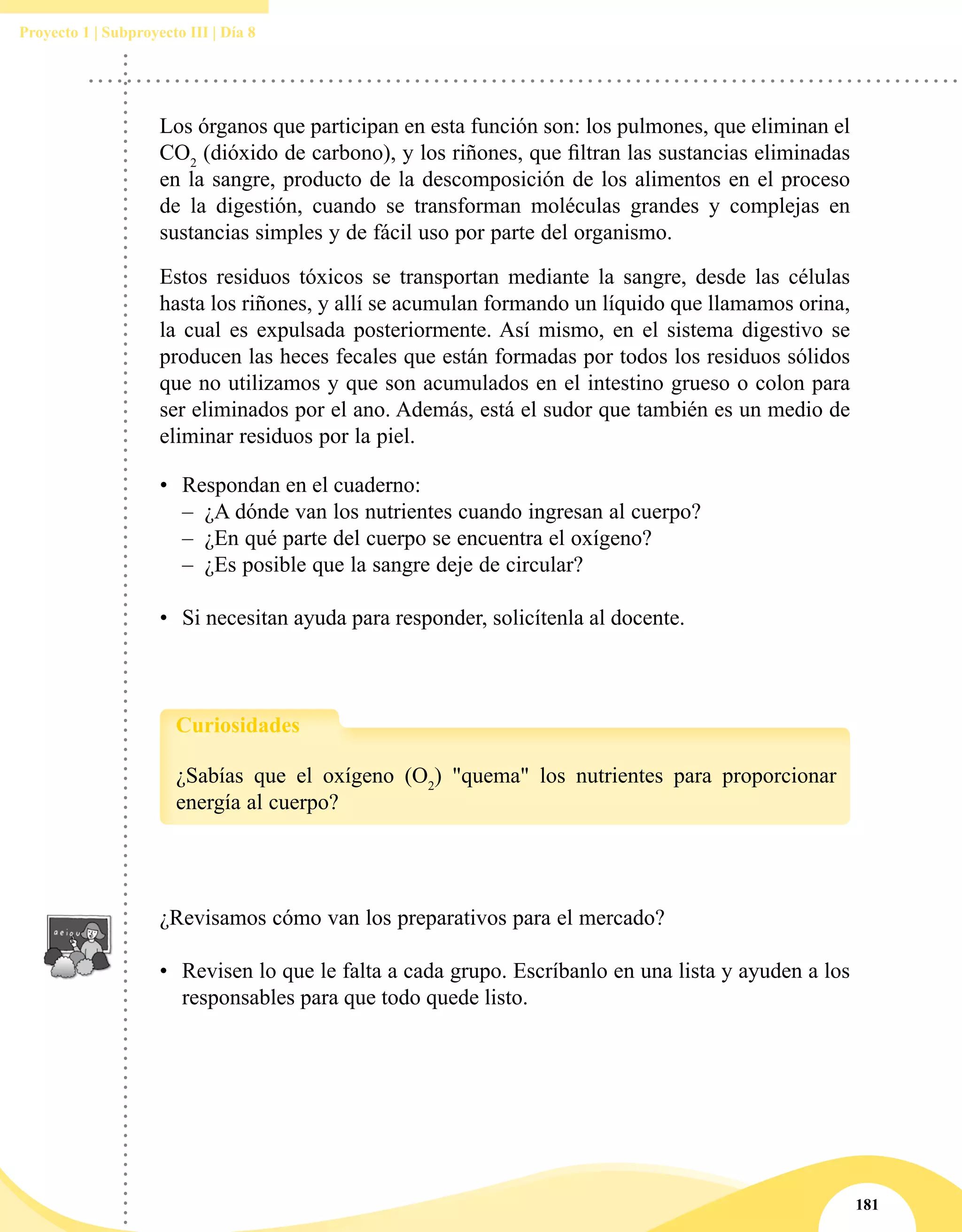 181
Proyecto 1 | Subproyecto III | Día 8
•	 Respondan en el cuaderno:
–– ¿A dónde van los nutrientes cuando ingresan al cuerpo?
–– ¿En qué parte del cuerpo se encuentra el oxígeno?
–– ¿Es posible que la sangre deje de circular?
•	 Si necesitan ayuda para responder, solicítenla al docente.
Los órganos que participan en esta función son: los pulmones, que eliminan el
CO2
(dióxido de carbono), y los riñones, que filtran las sustancias eliminadas
en la sangre, producto de la descomposición de los alimentos en el proceso
de la digestión, cuando se transforman moléculas grandes y complejas en
sustancias simples y de fácil uso por parte del organismo.
Estos residuos tóxicos se transportan mediante la sangre, desde las células
hasta los riñones, y allí se acumulan formando un líquido que llamamos orina,
la cual es expulsada posteriormente. Así mismo, en el sistema digestivo se
producen las heces fecales que están formadas por todos los residuos sólidos
que no utilizamos y que son acumulados en el intestino grueso o colon para
ser eliminados por el ano. Además, está el sudor que también es un medio de
eliminar residuos por la piel.
¿Sabías que el oxígeno (O2
) "quema" los nutrientes para proporcionar
energía al cuerpo?
Curiosidades
¿Revisamos cómo van los preparativos para el mercado?
	
•	 Revisen lo que le falta a cada grupo. Escríbanlo en una lista y ayuden a los
responsables para que todo quede listo.
 