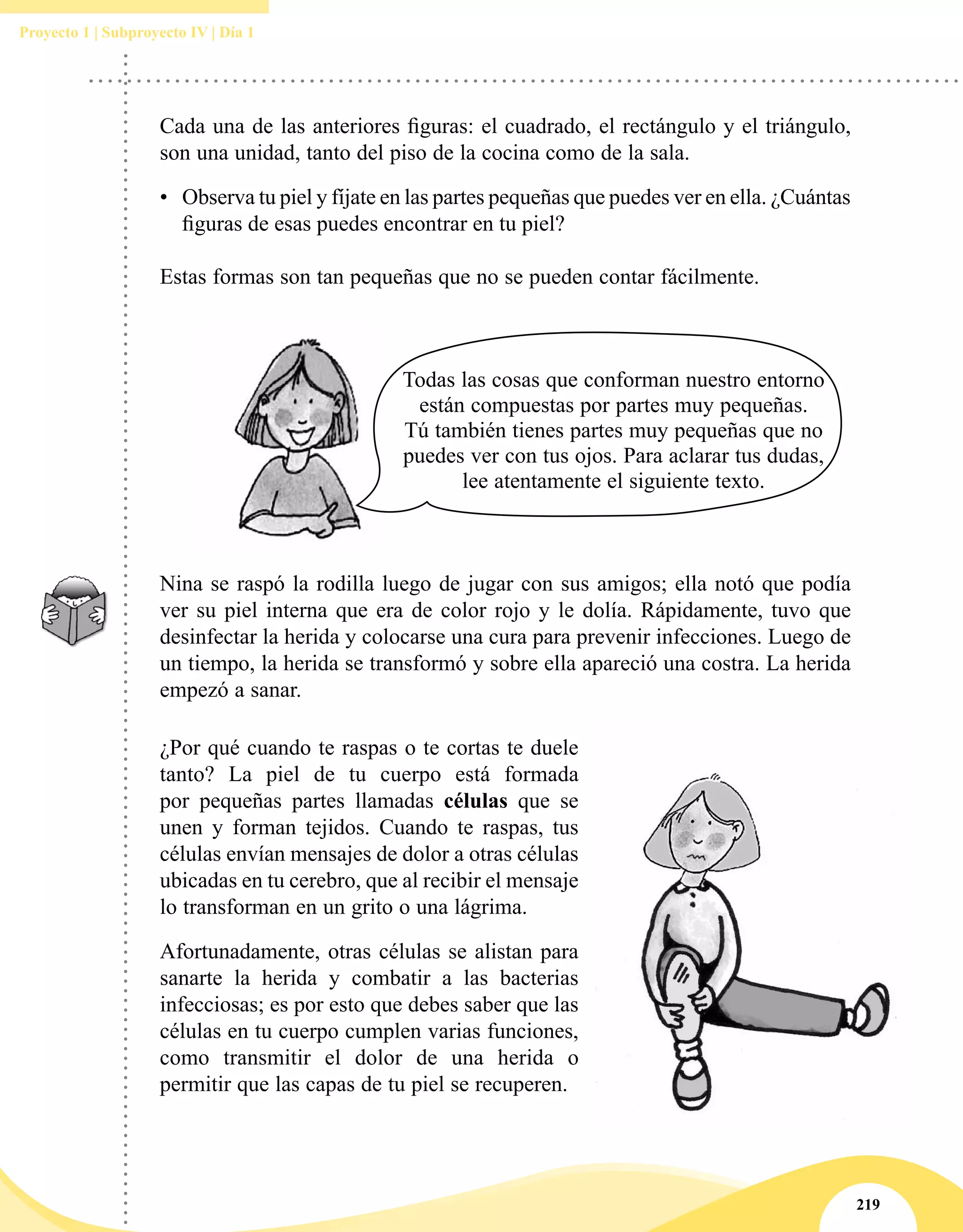 219
Proyecto 1 | Subproyecto IV | Día 1
Cada una de las anteriores figuras: el cuadrado, el rectángulo y el triángulo,
son una unidad, tanto del piso de la cocina como de la sala.
•	 Observa tu piel y fíjate en las partes pequeñas que puedes ver en ella. ¿Cuántas
figuras de esas puedes encontrar en tu piel?
Estas formas son tan pequeñas que no se pueden contar fácilmente.
Nina se raspó la rodilla luego de jugar con sus amigos; ella notó que podía
ver su piel interna que era de color rojo y le dolía. Rápidamente, tuvo que
desinfectar la herida y colocarse una cura para prevenir infecciones. Luego de
un tiempo, la herida se transformó y sobre ella apareció una costra. La herida
empezó a sanar.
Todas las cosas que conforman nuestro entorno
están compuestas por partes muy pequeñas.
Tú también tienes partes muy pequeñas que no
puedes ver con tus ojos. Para aclarar tus dudas,
lee atentamente el siguiente texto.
¿Por qué cuando te raspas o te cortas te duele
tanto? La piel de tu cuerpo está formada
por pequeñas partes llamadas células que se
unen y forman tejidos. Cuando te raspas, tus
células envían mensajes de dolor a otras células
ubicadas en tu cerebro, que al recibir el mensaje
lo transforman en un grito o una lágrima.
Afortunadamente, otras células se alistan para
sanarte la herida y combatir a las bacterias
infecciosas; es por esto que debes saber que las
células en tu cuerpo cumplen varias funciones,
como transmitir el dolor de una herida o
permitir que las capas de tu piel se recuperen.
 
