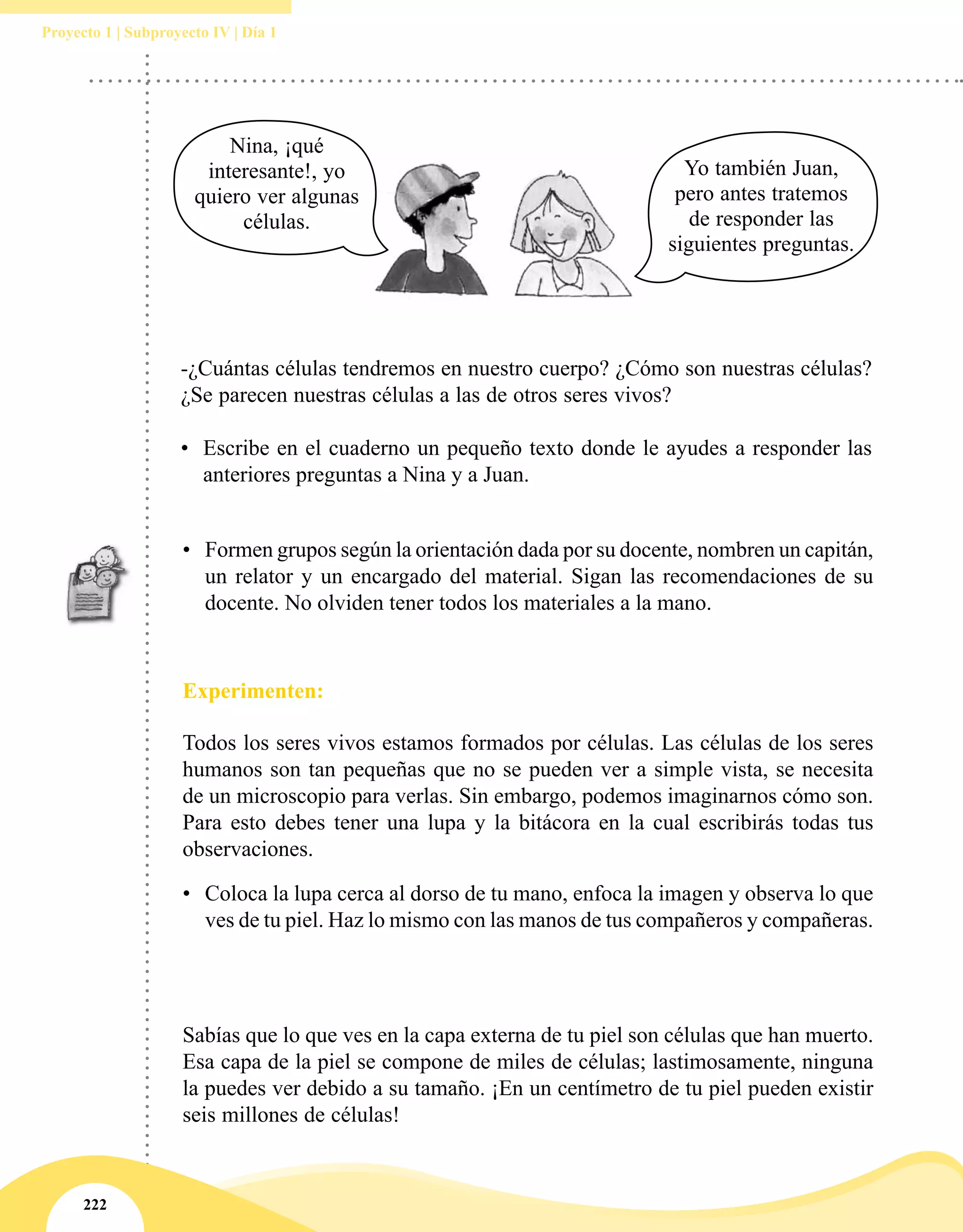 222
Proyecto 1 | Subproyecto IV | Día 1
•	 Formen grupos según la orientación dada por su docente, nombren un capitán,
un relator y un encargado del material. Sigan las recomendaciones de su
docente. No olviden tener todos los materiales a la mano.
Experimenten:
Todos los seres vivos estamos formados por células. Las células de los seres
humanos son tan pequeñas que no se pueden ver a simple vista, se necesita
de un microscopio para verlas. Sin embargo, podemos imaginarnos cómo son.
Para esto debes tener una lupa y la bitácora en la cual escribirás todas tus
observaciones.
•	 Coloca la lupa cerca al dorso de tu mano, enfoca la imagen y observa lo que
ves de tu piel. Haz lo mismo con las manos de tus compañeros y compañeras.
Sabías que lo que ves en la capa externa de tu piel son células que han muerto.
Esa capa de la piel se compone de miles de células; lastimosamente, ninguna
la puedes ver debido a su tamaño. ¡En un centímetro de tu piel pueden existir
seis millones de células!
-¿Cuántas células tendremos en nuestro cuerpo? ¿Cómo son nuestras células?
¿Se parecen nuestras células a las de otros seres vivos?
•	 Escribe en el cuaderno un pequeño texto donde le ayudes a responder las
anteriores preguntas a Nina y a Juan.
Nina, ¡qué
interesante!, yo
quiero ver algunas
células.
Yo también Juan,
pero antes tratemos
de responder las
siguientes preguntas.
 