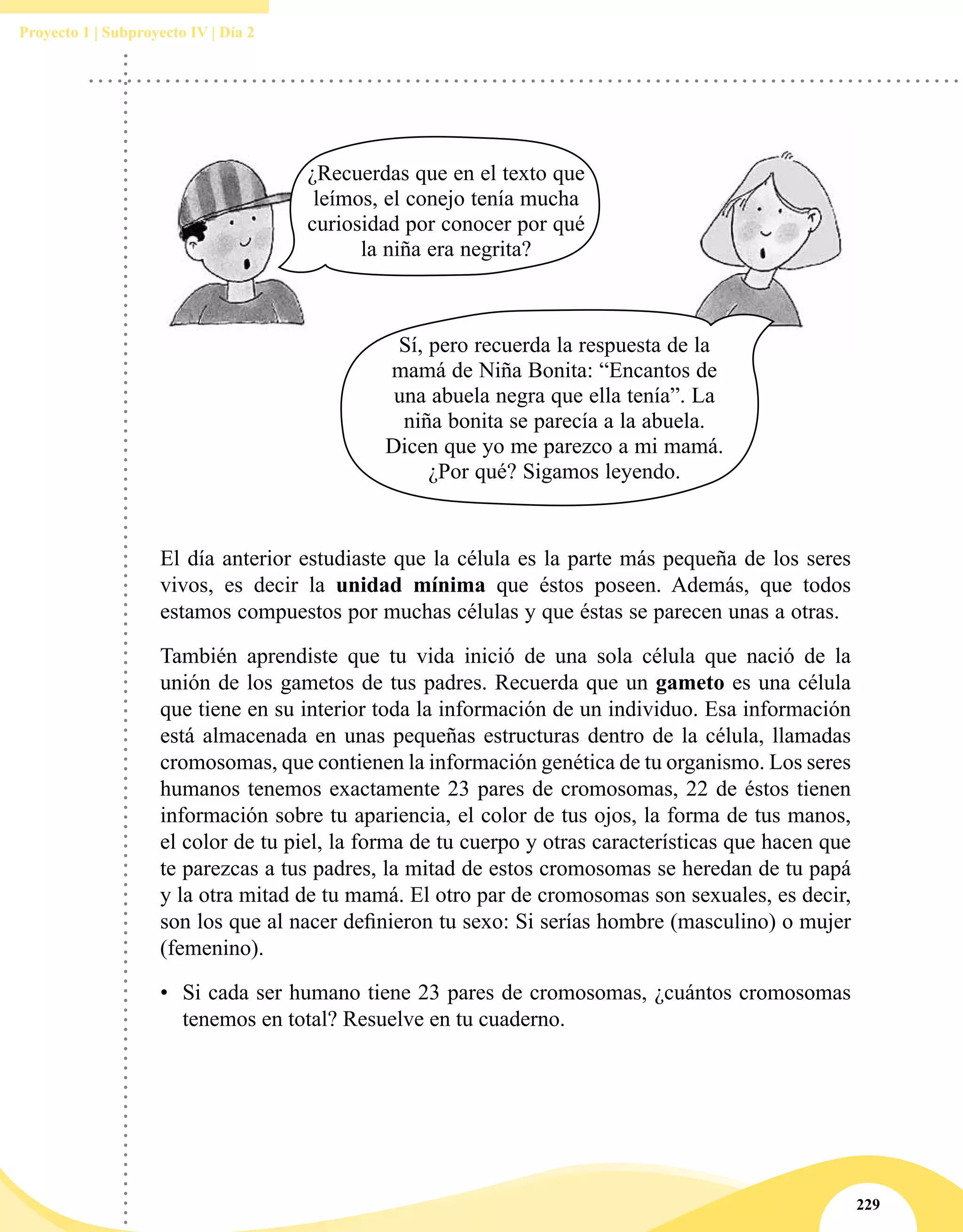229
Proyecto 1 | Subproyecto IV | Día 2
¿Recuerdas que en el texto que
leímos, el conejo tenía mucha
curiosidad por conocer por qué
la niña era negrita?
Sí, pero recuerda la respuesta de la
mamá de Niña Bonita: “Encantos de
una abuela negra que ella tenía”. La
niña bonita se parecía a la abuela.
Dicen que yo me parezco a mi mamá.
¿Por qué? Sigamos leyendo.
El día anterior estudiaste que la célula es la parte más pequeña de los seres
vivos, es decir la unidad mínima que éstos poseen. Además, que todos
estamos compuestos por muchas células y que éstas se parecen unas a otras.
También aprendiste que tu vida inició de una sola célula que nació de la
unión de los gametos de tus padres. Recuerda que un gameto es una célula
que tiene en su interior toda la información de un individuo. Esa información
está almacenada en unas pequeñas estructuras dentro de la célula, llamadas
cromosomas, que contienen la información genética de tu organismo. Los seres
humanos tenemos exactamente 23 pares de cromosomas, 22 de éstos tienen
información sobre tu apariencia, el color de tus ojos, la forma de tus manos,
el color de tu piel, la forma de tu cuerpo y otras características que hacen que
te parezcas a tus padres, la mitad de estos cromosomas se heredan de tu papá
y la otra mitad de tu mamá. El otro par de cromosomas son sexuales, es decir,
son los que al nacer definieron tu sexo: Si serías hombre (masculino) o mujer
(femenino).
•	 Si cada ser humano tiene 23 pares de cromosomas, ¿cuántos cromosomas
tenemos en total? Resuelve en tu cuaderno.
 