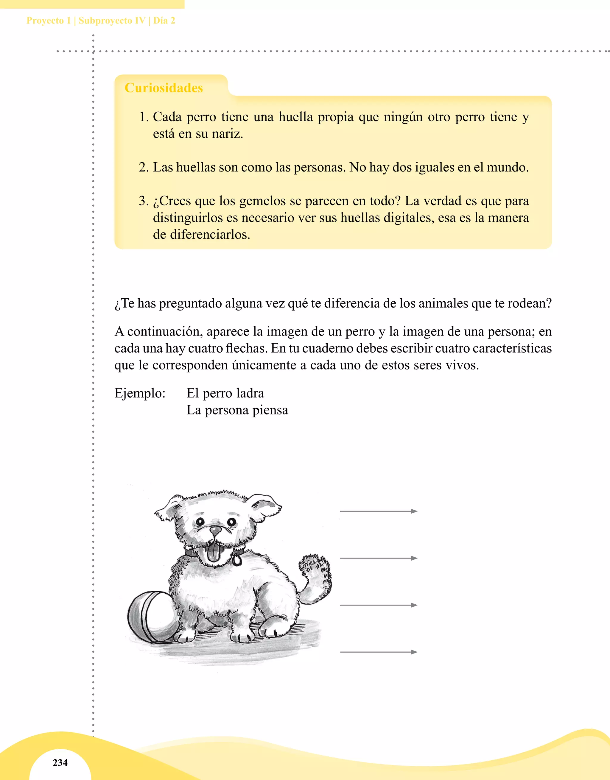 234
Proyecto 1 | Subproyecto IV | Día 2
¿Te has preguntado alguna vez qué te diferencia de los animales que te rodean?
A continuación, aparece la imagen de un perro y la imagen de una persona; en
cada una hay cuatro flechas. En tu cuaderno debes escribir cuatro características
que le corresponden únicamente a cada uno de estos seres vivos.
Ejemplo: 	 El perro ladra
		 La persona piensa
1.	Cada perro tiene una huella propia que ningún otro perro tiene y
está en su nariz.
2.	Las huellas son como las personas. No hay dos iguales en el mundo.
3.	¿Crees que los gemelos se parecen en todo? La verdad es que para
distinguirlos es necesario ver sus huellas digitales, esa es la manera
de diferenciarlos.
Curiosidades
 
