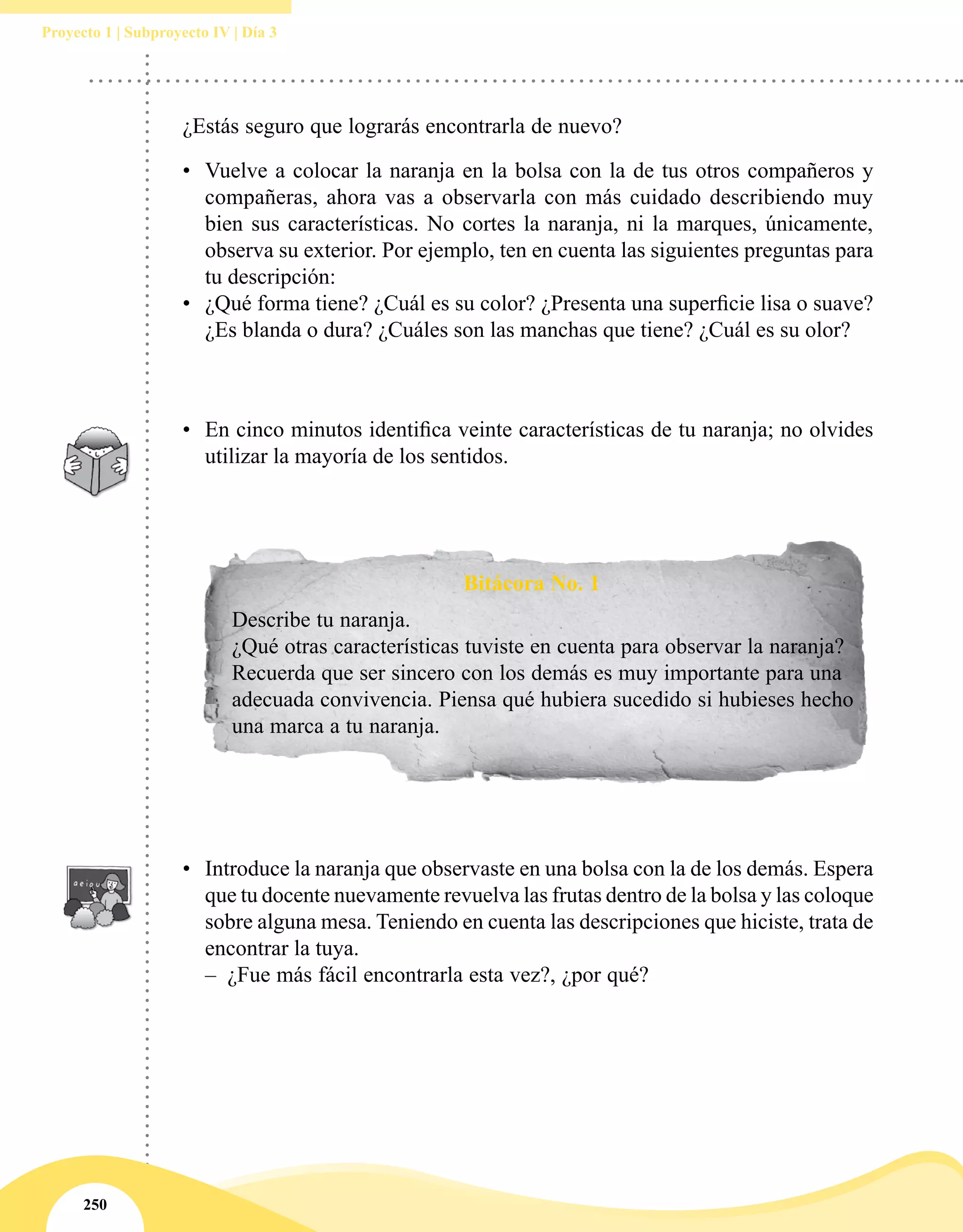250
Proyecto 1 | Subproyecto IV | Día 3
¿Estás seguro que lograrás encontrarla de nuevo?
•	 Vuelve a colocar la naranja en la bolsa con la de tus otros compañeros y
compañeras, ahora vas a observarla con más cuidado describiendo muy
bien sus características. No cortes la naranja, ni la marques, únicamente,
observa su exterior. Por ejemplo, ten en cuenta las siguientes preguntas para
tu descripción:
•	 ¿Qué forma tiene? ¿Cuál es su color? ¿Presenta una superficie lisa o suave?
¿Es blanda o dura? ¿Cuáles son las manchas que tiene? ¿Cuál es su olor?
•	 En cinco minutos identifica veinte características de tu naranja; no olvides
utilizar la mayoría de los sentidos.
Bitácora No. 1
Describe tu naranja.
¿Qué otras características tuviste en cuenta para observar la naranja?
Recuerda que ser sincero con los demás es muy importante para una
adecuada convivencia. Piensa qué hubiera sucedido si hubieses hecho
una marca a tu naranja.
•	 Introduce la naranja que observaste en una bolsa con la de los demás. Espera
que tu docente nuevamente revuelva las frutas dentro de la bolsa y las coloque
sobre alguna mesa. Teniendo en cuenta las descripciones que hiciste, trata de
encontrar la tuya.
–– 	¿Fue más fácil encontrarla esta vez?, ¿por qué?
 