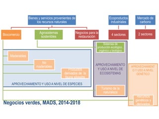 APROVECHAMIENT
O Y USO A NIVEL
GENÉTICO
APROVECHAMIENTO
Y USO A NIVEL DE
ECOSISTEMAS
APROVECHAMIENTO Y USO A NIVEL DE ESPECIES
Negocios verdes, MADS, 2014-2018
Bienes y servicios provenientes de
los recursos naturales
Biocomercio
Maderables
No
maderables
Productos
derivados de la
fauna silvestre
Turismo de la
naturaleza
Recursos
genéticos y
derivados
Agrosistemas
sostenibles
Sistemas de
producción ecológico ,
orgánico y biológico
Negocios para la
restauración
Ecoproductos
industriales
4 sectores
Mercado de
carbono
2 sectores
 