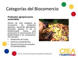 Categorías del Biocomercio
Productos agropecuarios
sostenibles.
Dentro de esta categoría se
encuentran los productos
agrícolas, pecuarios (ganadera),
piscícolas (peces) o de la
biodiversidad nativa, que
promueven la conservación de la
biodiversidad y los ecosistemas.
Por ejemplo:
• Producción de Cacao.
• Sistemas silvopastoriles.
• Zoocría (Crianza de animales
no domesticados).
 