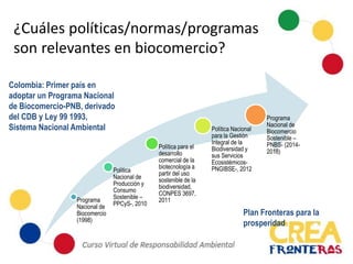 Programa
Nacional de
Biocomercio
(1998)
Política
Nacional de
Producción y
Consumo
Sostenible –
PPCyS-, 2010
Política para el
desarrollo
comercial de la
biotecnología a
partir del uso
sostenible de la
biodiversidad,
CONPES 3697,
2011
Política Nacional
para la Gestión
Integral de la
Biodiversidad y
sus Servicios
Ecosistémicos-
PNGIBSE-, 2012
Programa
Nacional de
Biocomercio
Sostenible –
PNBS- (2014-
2018)
Colombia: Primer país en
adoptar un Programa Nacional
de Biocomercio-PNB, derivado
del CDB y Ley 99 1993,
Sistema Nacional Ambiental
Plan Fronteras para la
prosperidad
¿Cuáles políticas/normas/programas
son relevantes en biocomercio?
 