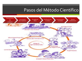 Pasos del Método Científico
Planteamiento
Del
problema
Formulación
de la hipótesis
Recogida de
datos
Verificación de
los datos
Conclusiones y
resultados
Nuevas
predicciones
 