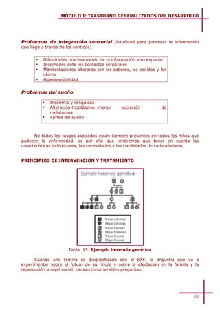 MÓDULO I: TRASTORNO GENERALIZADOS DEL DESARROLLO




Problemas de integración sensorial (habilidad para procesar la información
que llega a través de los sentidos)


       !   Dificultades procesamiento de la información viso espacial
       !   Incomodos ante los contactos corporales
       !   Manifestaciones alteraras con los sabores, los sonidos y los
           olores
       !   Hipersensibilidad


Problemas del sueño

           !   Insomnio y ronquidos
           !   Alteración hipotálamo: menor     secreción           de
               melatonina
           !   Apnea del sueño



      No todos los rasgos asociados están siempre presentes en todos los niños que
padecen la enfermedad, es por ello que tendremos que tener en cuenta las
características individuales, las necesidades y las habilidades de cada afectado.


PRINCIPIOS DE INTERVENCIÓN Y TRATAMIENTO




                       Tabla 15: Ejemplo herencia genética

      Cuando una familia es diagnosticada con el SXF, la angustia que va a
experimentar sobre el futuro de su hijo/a y sobre la afectación en la familia y la
repercusión a nivel social, causan innumerables preguntas.




                                                                               62
 