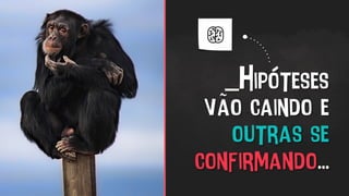 _Hipóteses
vão caindo e
outras se
confirmando...
 