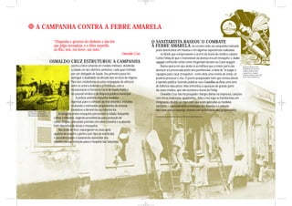 A CAMPANHA CONTRA A FEBRE AMARELA

                                      “Disponha o governo do dinheiro e das leis                                 O SANITARISTA BASEOU O COMBATE
                                      que julga necessárias, e a febre amarella,                                 À FEBRE AMARELA no recente êxito da campanha realizada
                                      no Rio, será, em breve, um mito.”                                            pelos americanos em Havana e em algumas experiências realizadas
                                                                                                Oswaldo Cruz           no Brasil, que comprovavam o acerto da teoria do médico cubano
                                                                                                                   Carlos Finlay de que o transmissor da doença era um mosquito: o Aedes
                                     OSWALDO CRUZ ESTRUTUROU A CAMPANHA                                            aegypti, conhecido então como Stegomyia fasciata ou Culex aegypti.
                                                     contra a febre amarela em moldes militares, dividindo             Numa época em que ainda se acreditava que a maior parte das                     Ilustração retirada da revista

                                                     a cidade em dez distritos sanitários, cada qual chefiado      doenças era provocada pelos ares pestilenciais, a idéia de "se pagar a              O Tagarela fazendo alusão aos
                                                                                                                                                                                                       culicídeos, família de insetos

                                                     por um delegado de Saúde. Seu primeiro passo foi              rapagões para caçar mosquitos", como dizia uma revista de então, só                 à qual pertence o mosquito
                                                                                                                                                                                                       transmissor da febre amarela, 1903.

                                                     extinguir a dualidade na direção dos serviços de Higiene.     poderia provocar o riso. O jovem pesquisador bem que tentou alterar                 Acervo Casa de Oswaldo Cruz.


                                                     Para isso, estabeleceu-se uma conjugação de esforços          a opinião pública, fazendo publicar seus Conselhos ao Povo, uma série
                                                     entre os setores federais e a Prefeitura, com a               de folhetos educativos. Mas enfrentou a oposição de grande parte
                                                     incorporação à Diretoria-Geral de Saúde Pública               da classe médica, que não aceitava a teoria de Finlay.
                                                     do pessoal médico e de limpeza pública municipal.                 Oswaldo Cruz não foi poupado: charges diárias na imprensa, canções
                                                         A polícia sanitária impunha medidas                       com letras maliciosas, quadrinhas... Mas o riso logo se transformou em
                                                     rigorosas para o combate ao mal amarílico, inclusive          indignação, devido ao rigor com que eram aplicadas as medidas
                                                     multando e intimando proprietários de imóveis                 sanitárias – especialmente a remoção dos doentes e a entrada
Aparelhos Clayton para serviços
                                                     insalubres a demoli-los ou reformá-los.                       nas casas para o expurgo, mesmo sem autorização dos proprietários.
de profilaxia terrestre, década de
1900. Acervo Casa de Oswaldo Cruz.
                                          As brigadas mata-mosquitos percorriam a cidade, limpando
                                                                                                                   Preparação de casa para desinfecção, década de 1900. Acervo Casa de Oswaldo Cruz.
                                      calhas e telhados, exigindo providências para proteção de
                                      caixas-d'água, colocando petróleo em ralos e bueiros e acabando
                                      com depósitos de larvas e mosquitos.
                                          Nas áreas de foco, expurgavam as casas, pela
                                      queima de enxofre e piretro (um tipo de inseticida)
                                      e providenciavam o isolamento domiciliar dos
                                      doentes ou sua remoção para o Hospital São Sebastião.
 