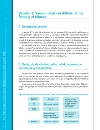 Sección 1. Vacuna contra la difteria, la tos
ferina y el tétanos

Curso de gerencia para el manejo efectivo del Programa Ampliado de Inmunización (PAI)

C. Descripción general

50

La vacuna DPT o triple bacteriana contiene los toxoides diftérico y tetánico elaborados en
formol, purificados y adsorbidos, así como la vacuna pura de Bordet-Gengou contra la tos ferina
o pertusis. Un mililitro contiene al menos 30 UI de antígeno diftérico purificado y adsorbido,
40 a 60 UI de antígeno tetánico purificado y adsorbido, y al menos 4 UI de Bordetella pertussis.
Agente conservador: tiomerosal. Adyuvante: hidróxido de aluminio o fosfato de aluminio.
Por más de 40 años se ha usado en América y en el mundo la vacuna con el componente de
“células completas” contra la tos ferina; su calidad y eficacia han sido demostradas. En algunos
países ha comenzado a usarse la vacuna “acelular” contra este agente. Las vacunas acelulares
presentan menor número de eventos adversos post-vacunales y su uso debe evaluarse en los
países que tienen suficientes recursos económicos para adquirirla.

D. Dosis, vía de administración, edad, esquema de
vacunación y conservación
Se aplica una serie primaria de tres dosis, iniciando la primera dosis a los 2 meses de
edad con un intervalo de ocho semanas entre cada dosis. No se debe recomenzar un nuevo
esquema después de cada interrupción, sino seguir con el que corresponde, independientemente
del intervalo entre las dosis administradas.
En general, la dosis es de 0,5 ml. Se utiliza jeringa desechable y aguja calibre 23G por 1
pulgada. Se aplica por vía intramuscular profunda, en la cara anterolateral del muslo, en el tercio
medio.

Figura 1. Esquema de vacunación DPT, edad, dosis, intervalo y vía de administración

 
