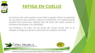 FATIGA EN CUELLO
Las lesiones del cuello pueden causar dolor o pueden afectar la capacidad
de una persona para caminar o pararse normalmente si la médula espinal
también está involucrada. Algunos tipos de lesión del cuello incluyen el
fenómeno del latigazo y la cuadriplejía.
Los hombros y el cuello son las partes del cuerpo donde más se ve
reflejado la fatiga que genera el desarrollo de cualquier actividad.
 