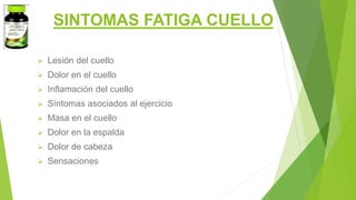 SINTOMAS FATIGA CUELLO
 Lesión del cuello
 Dolor en el cuello
 Inflamación del cuello
 Síntomas asociados al ejercicio
 Masa en el cuello
 Dolor en la espalda
 Dolor de cabeza
 Sensaciones
 