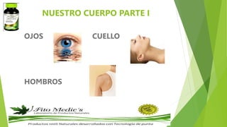 NUESTRO CUERPO PARTE I
OJOS CUELLO
HOMBROS
 