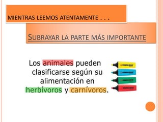 SUBRAYAR LA PARTE MÁS IMPORTANTE
MIENTRAS LEEMOS ATENTAMENTE . . .