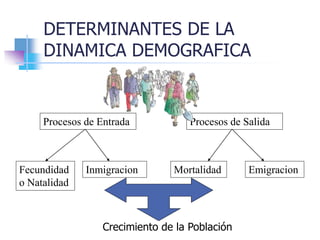 DETERMINANTES DE LA
DINAMICA DEMOGRAFICA
Procesos de Entrada Procesos de Salida
Fecundidad
o Natalidad
Inmigracion Mortalidad Emigracion
Crecimiento de la Población
 
