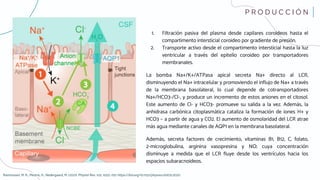 Módulo 2. Líquido Cefalorraquídeo.pdf