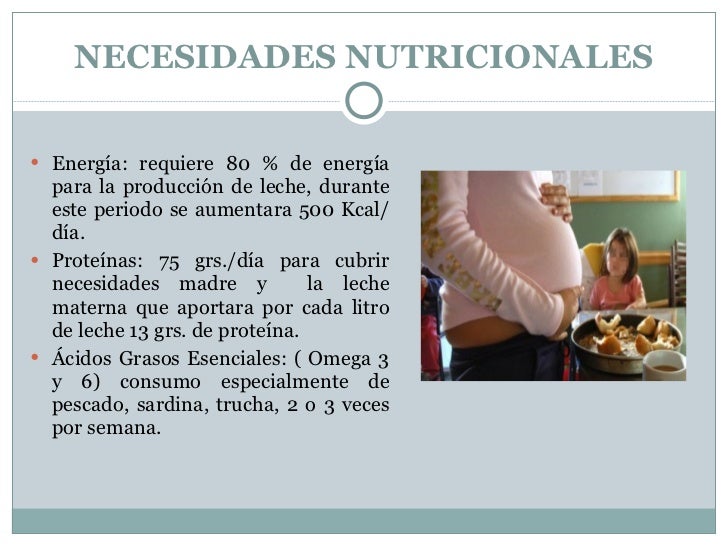 nutricion en el embarazo y lactancia. ppt
