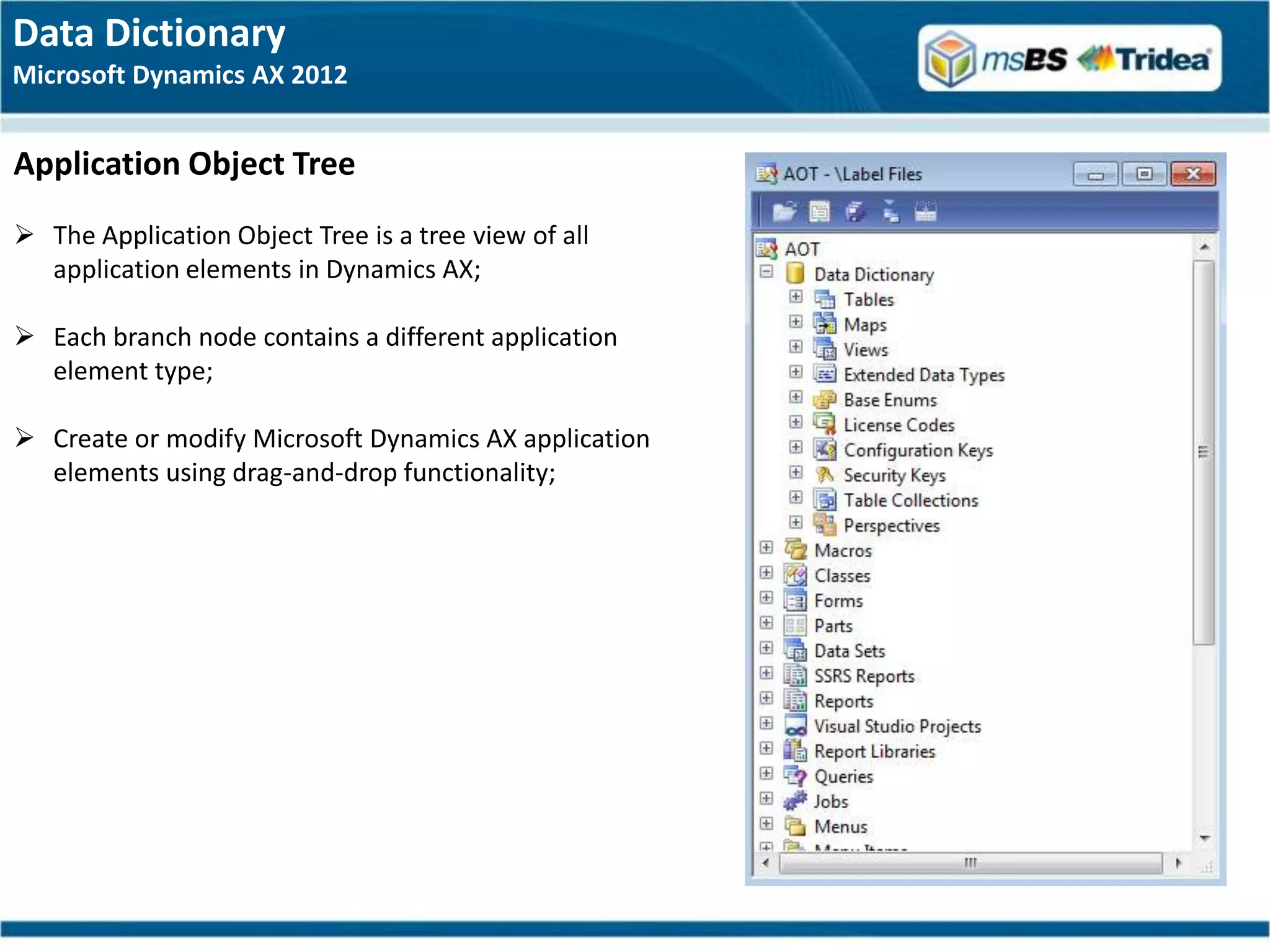 Data Dictionary
Microsoft Dynamics AX 2012


Application Object Tree
 The Application Object Tree is a tree view of all
  application elements in Dynamics AX;

 Each branch node contains a different application
  element type;

 Create or modify Microsoft Dynamics AX application
  elements using drag-and-drop functionality;
 