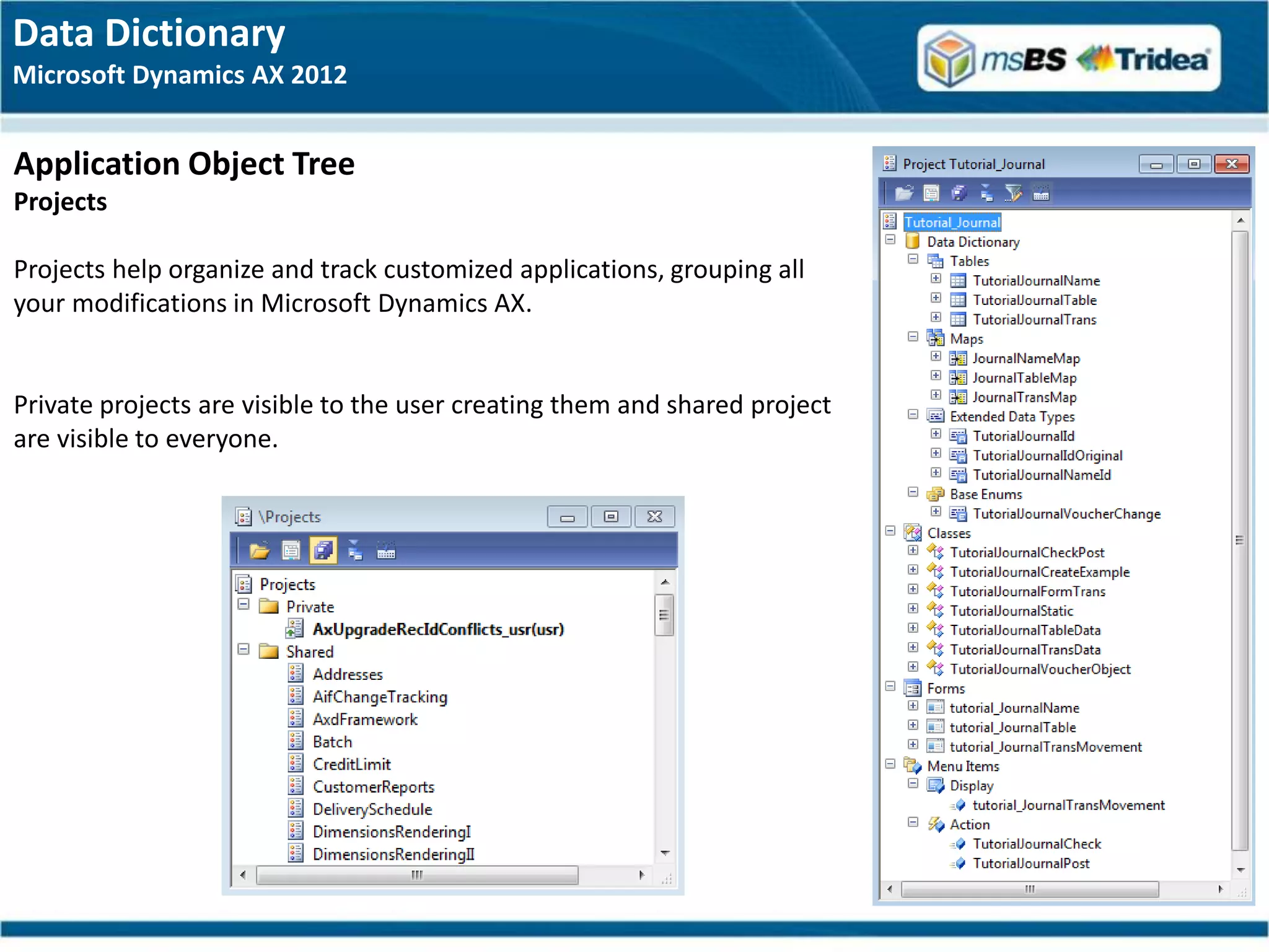 Data Dictionary
Microsoft Dynamics AX 2012


Application Object Tree
Projects

Projects help organize and track customized applications, grouping all
your modifications in Microsoft Dynamics AX.


Private projects are visible to the user creating them and shared project
are visible to everyone.
 