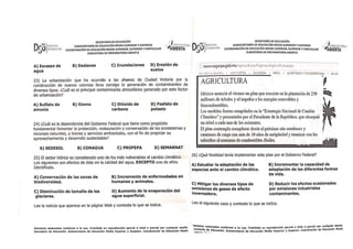 modulo 20 dgo | PDF