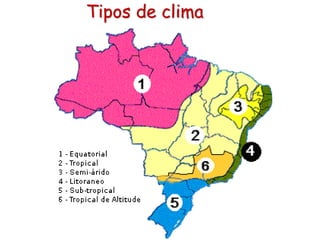 Tipos de clima
 
