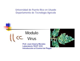 Universidad de Puerto Rico en Utuado
Departamento de Tecnología Agrícola
Modulo
Virus
Prof. Juan Irizarry Morales
Laboratorio TECP 1016
Introducción al Control de Plagas
 