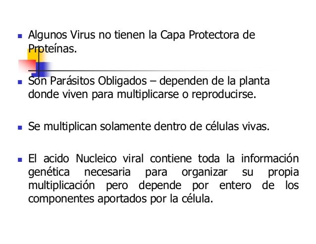 Los helmintos cerca del pez de la caballa