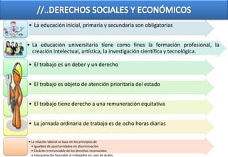 • La educación inicial, primaria y secundaria son obligatorias


• La educación universitaria tiene como fines la formación profesional, la
  creación intelectual, artística, la investigación científica y tecnológica.

• El trabajo es un deber y un derecho


• El trabajo es objeto de atención prioritaria del estado


• El trabajo tiene derecho a una remuneración equitativa


• La jornada ordinaria de trabajo es de ocho horas diarias


• La relación laboral se basa en los principios de
  • Igualdad de oportunidades sin discriminación
  • Carácter irrenunciable de los derechos reconocidos
  • Interpretación favorable al trabajador en caso de dudas.
 