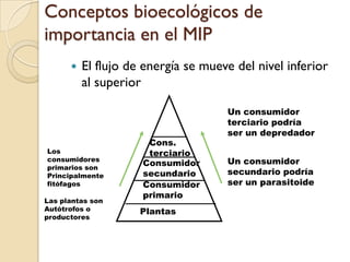 Conceptos bioecológicos de
importancia en el MIP
 El flujo de energía se mueve del nivel inferior
al superior
Plantas
Consumidor
primario
Consumidor
secundario
Cons.
terciario
Las plantas son
Autótrofos o
productores
Los
consumidores
primarios son
Principalmente
fitófagos
Un consumidor
secundario podría
ser un parasitoide
Un consumidor
terciario podría
ser un depredador
 