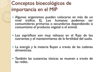 Conceptos bioecológicos de
importancia en el MIP
 Algunos organismos pueden colocarse en más de un
nivel trófico. Ej. Los humanos podemos ser
consumidores primarios o secundarios dependiendo si
consumismo el producto vegetal o el animal.
 Los saprófitos son muy valiosos en el flujo de los
nutrientes y el mantenimiento de la fertilidad del suelo.
 La energía y la materia fluyen a través de las cadenas
alimenticias.
 También las sustancias tóxicas se mueven a través de
las redes.
 