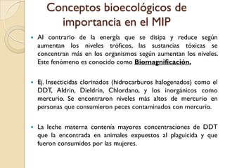 Conceptos bioecológicos de
importancia en el MIP
 Al contrario de la energía que se disipa y reduce según
aumentan los niveles tróficos, las sustancias tóxicas se
concentran más en los organismos según aumentan los niveles.
Este fenómeno es conocido como Biomagnificación.
 Ej. Insecticidas clorinados (hidrocarburos halogenados) como el
DDT, Aldrin, Dieldrin, Chlordano, y los inorgánicos como
mercurio. Se encontraron niveles más altos de mercurio en
personas que consumieron peces contaminados con mercurio.
 La leche materna contenía mayores concentraciones de DDT
que la encontrada en animales expuestos al plaguicida y que
fueron consumidos por las mujeres.
 
