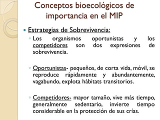 Conceptos bioecológicos de
importancia en el MIP
 Estrategias de Sobrevivencia:
◦ Los organismos oportunistas y los
competidores son dos expresiones de
sobrevivencia.
◦ Oportunistas- pequeños, de corta vida, móvil, se
reproduce rápidamente y abundantemente,
vagabundo, explota hábitats transitorios.
◦ Competidores- mayor tamaño, vive más tiempo,
generalmente sedentario, invierte tiempo
considerable en la protección de sus crías.
 