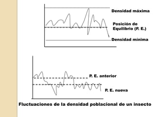 Fluctuaciones de la densidad poblacional de un insecto
Densidad máxima
Densidad mínima
P. E. anterior
P. E. nueva
Posición de
Equilibrio (P. E.)
 
