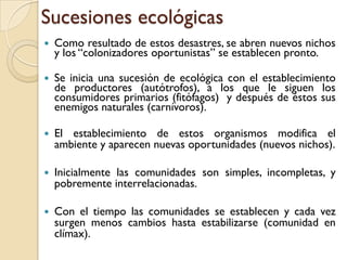 Sucesiones ecológicas
 Como resultado de estos desastres, se abren nuevos nichos
y los “colonizadores oportunistas” se establecen pronto.
 Se inicia una sucesión de ecológica con el establecimiento
de productores (autótrofos), a los que le siguen los
consumidores primarios (fitófagos) y después de éstos sus
enemigos naturales (carnívoros).
 El establecimiento de estos organismos modifica el
ambiente y aparecen nuevas oportunidades (nuevos nichos).
 Inicialmente las comunidades son simples, incompletas, y
pobremente interrelacionadas.
 Con el tiempo las comunidades se establecen y cada vez
surgen menos cambios hasta estabilizarse (comunidad en
clímax).
 