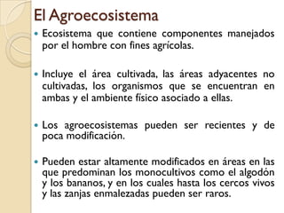 El Agroecosistema
 Ecosistema que contiene componentes manejados
por el hombre con fines agrícolas.
 Incluye el área cultivada, las áreas adyacentes no
cultivadas, los organismos que se encuentran en
ambas y el ambiente físico asociado a ellas.
 Los agroecosistemas pueden ser recientes y de
poca modificación.
 Pueden estar altamente modificados en áreas en las
que predominan los monocultivos como el algodón
y los bananos, y en los cuales hasta los cercos vivos
y las zanjas enmalezadas pueden ser raros.
 