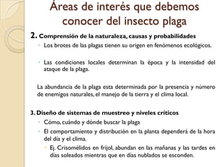 Áreas de interés que debemos
conocer del insecto plaga
2. Comprensión de la naturaleza, causas y probabilidades
◦ Los brotes de las plagas tienen su origen en fenómenos ecológicos.
◦ Las condiciones locales determinan la época y la intensidad del
ataque de la plaga.
La abundancia de la plaga esta determinada por la presencia y número
de enemigos naturales, el manejo de la tierra y el clima local.
3. Diseño de sistemas de muestreo y niveles críticos
◦ Cómo, cuándo y dónde buscar la plaga
◦ El comportamiento y distribución en la planta dependerá de la hora
del día y el clima.
 Ej. Crisomélidos en frijol, abundan en las mañanas y las tardes en
días soleados mientras que en días nublados se esconden.
 