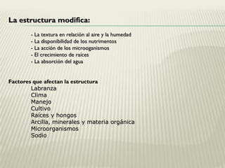 La estructura modifica:
- La textura en relación al aire y la humedad
- La disponibilidad de los nutrimentos
- La acción de los microoganismos
- El crecimiento de raíces
- La absorción del agua
Factores que afectan la estructura
Labranza
Clima
Manejo
Cultivo
Raíces y hongos
Arcilla, minerales y materia orgánica
Microorganismos
Sodio
 