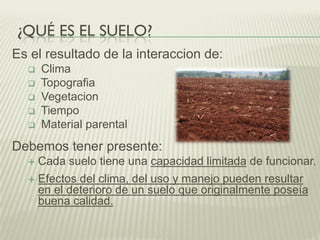 ¿QUÉ ES EL SUELO?
Es el resultado de la interaccion de:
 Clima
 Topografia
 Vegetacion
 Tiempo
 Material parental
Debemos tener presente:
 Cada suelo tiene una capacidad limitada de funcionar.
 Efectos del clima, del uso y manejo pueden resultar
en el deterioro de un suelo que originalmente poseía
buena calidad.
 