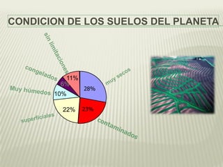 CONDICION DE LOS SUELOS DEL PLANETA
6%
23%
28%
22%
10%
11%
 