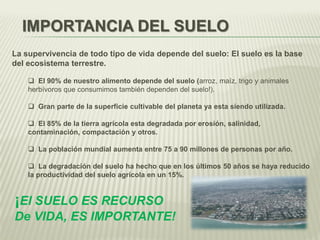 La supervivencia de todo tipo de vida depende del suelo: El suelo es la base
del ecosistema terrestre.
 El 90% de nuestro alimento depende del suelo (arroz, maíz, trigo y animales
herbívoros que consumimos también dependen del suelo!).
 Gran parte de la superficie cultivable del planeta ya esta siendo utilizada.
 El 85% de la tierra agrícola esta degradada por erosión, salinidad,
contaminación, compactación y otros.
 La población mundial aumenta entre 75 a 90 millones de personas por año.
 La degradación del suelo ha hecho que en los últimos 50 años se haya reducido
la productividad del suelo agrícola en un 15%.
IMPORTANCIA DEL SUELO
¡El SUELO ES RECURSO
De VIDA, ES IMPORTANTE!
 