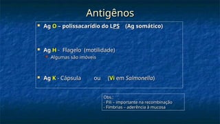 Antigênos
Antigênos
 Ag
Ag O
O – polissacarídio do L
– polissacarídio do LPS
PS (Ag somático)
(Ag somático)
 Ag
Ag H
H - Flagelo (motilidade)
- Flagelo (motilidade)
 Algumas são imóveis
Algumas são imóveis
 Ag
Ag K
K - Cápsula ou (
- Cápsula ou (Vi
Vi em
em Salmonella
Salmonella)
)
Obs.:
Obs.:
- Pili – importante na recombinação
- Pili – importante na recombinação
- Fímbrias – aderência à mucosa
- Fímbrias – aderência à mucosa
 