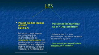 L
LPS
PS
 Porção lipídica (ácidos
Porção lipídica (ácidos
graxos)
graxos)
Lipídio A:
Lipídio A:
- Principal componente
- Principal componente
responsável por
responsável por
manifestações de
manifestações de
atividade endotóxica
atividade endotóxica em
em
pacientes com sepsis por
pacientes com sepsis por
bactéria Gram negativa
bactéria Gram negativa
(febre, choque, colapso
(febre, choque, colapso
vascular e hemorragia)
vascular e hemorragia)
- Porção polissacarídica
Porção polissacarídica
Ag O = (Ag somático):
Ag O = (Ag somático):
- Polissacarídeo O + core
Polissacarídeo O + core
é formado por seqüências repetidas
é formado por seqüências repetidas
de diferentes açúcares
de diferentes açúcares
-
- responsável pela especificidade
responsável pela especificidade
antigênica
antigênica das bactérias.
das bactérias.
 