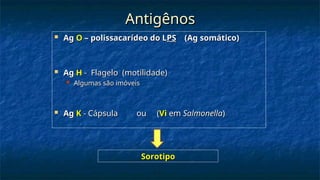 Antigênos
Antigênos
 Ag
Ag O
O – polissacarídeo do L
– polissacarídeo do LPS
PS (Ag somático)
(Ag somático)
 Ag
Ag H
H - Flagelo (motilidade)
- Flagelo (motilidade)
 Algumas são imóveis
Algumas são imóveis
 Ag
Ag K
K - Cápsula ou (
- Cápsula ou (Vi
Vi em
em Salmonella
Salmonella)
)
Sorotipo
Sorotipo
 