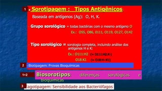 Biosorotipos
Biosorotipos: diferenças sorológicas e
: diferenças sorológicas e
bioquímicas
bioquímicas
- Biotipagem: Provas Bioquímicas
1
2
1+2
Fagotipagem: Sensibilidade aos Bacteriófagos
3
 