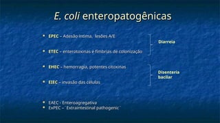 E. coli
E. coli enteropatogênicas
enteropatogênicas
 EPEC
EPEC – Adesão íntima, lesões A/E
– Adesão íntima, lesões A/E
 ETEC
ETEC – enterotoxinas e fímbrias de colonização
– enterotoxinas e fímbrias de colonização
 EHEC
EHEC – hemorragia, potentes citoxinas
– hemorragia, potentes citoxinas
 EIEC
EIEC – invasão das células
– invasão das células
 EAEC - Enteroagregativa
EAEC - Enteroagregativa
 ExPEC –¨Extraintestinal pathogenic¨
ExPEC –¨Extraintestinal pathogenic¨
Diarreia
Disenteria
bacilar
 