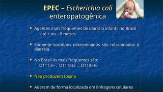 EPEC
EPEC –
– Escherichia coli
Escherichia coli
enteropatogênica
enteropatogênica
 Agentes mais freqüentes de diarréia infantil no Brasil
Agentes mais freqüentes de diarréia infantil no Brasil
até + ou – 6 meses
até + ou – 6 meses
 Somente sorotipos determinados são relacionados à
Somente sorotipos determinados são relacionados à
diarréia.
diarréia.
 No Brasil os mais freqüentes são:
No Brasil os mais freqüentes são:
O111:H- , O111:H2 , O119:H6
O111:H- , O111:H2 , O119:H6
 Não produzem toxina
Não produzem toxina
 Aderem de forma localizada em linhagens celulares
Aderem de forma localizada em linhagens celulares
 